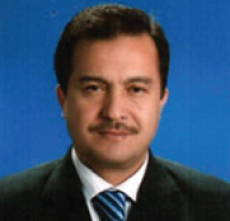 Temsilcilikler