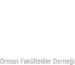 logo-beyaz